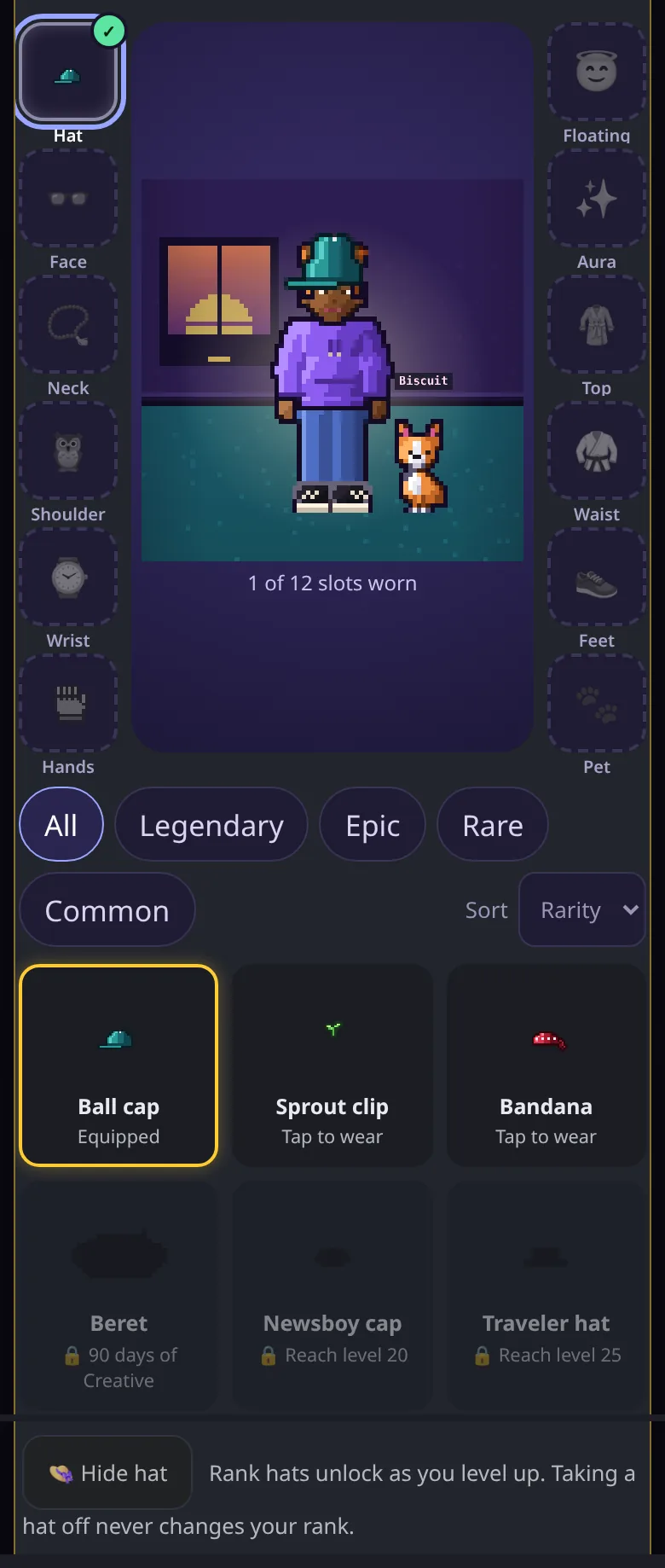 The Bag showing unlocked rank hats and the Hide hat button